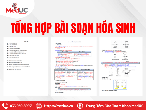 Tổng hợp bài soạn hóa sinh