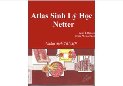 Atlas sinh lý học netter